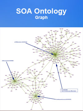 SOA Ontology Graph